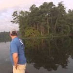 Catfishing の動画